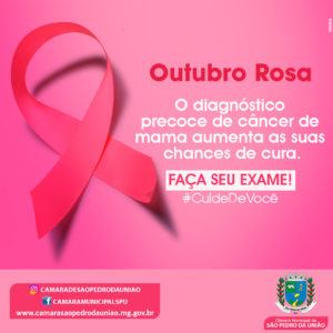 Câmara Municipal de São Pedro da União -Outubro Rosa